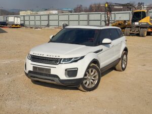 8b144174 b27e 486e 974a 0dac4763a6b9.jpg download