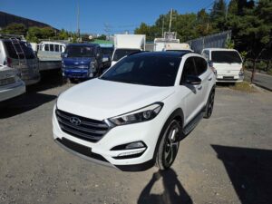 ic5566178 02
